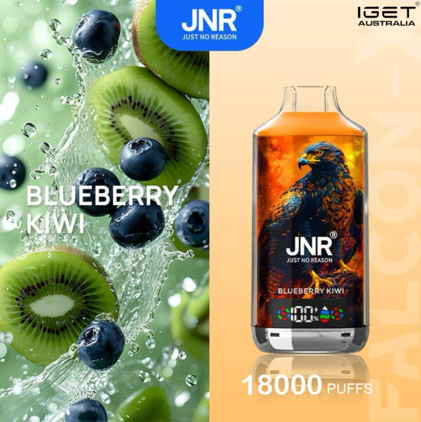 JNR FALCON -X BLUEBERRY KIWI - 18000 PUFFS