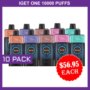 IGET ONE 10000 PUFFS - 10 PACK