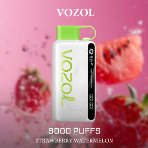 VOZOL STRAWBERRY WATERMELON - 9000 PUFFS