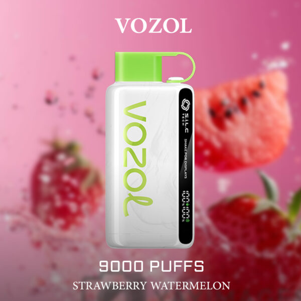 VOZOL STRAWBERRY WATERMELON - 9000 PUFFS