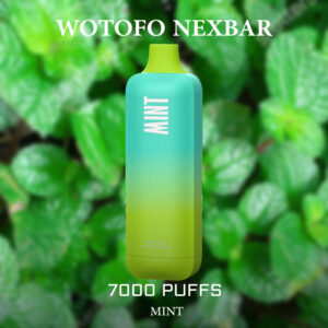 WOTOFO NEXBAR MINT - 7000 PUFFS